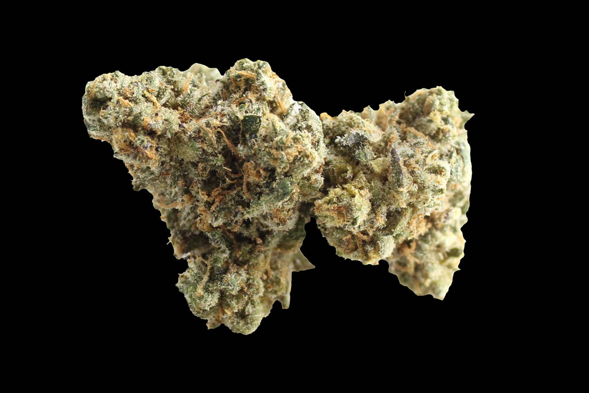 420 Evolution 30/1 CA FLM: Frozen Lemon Mint