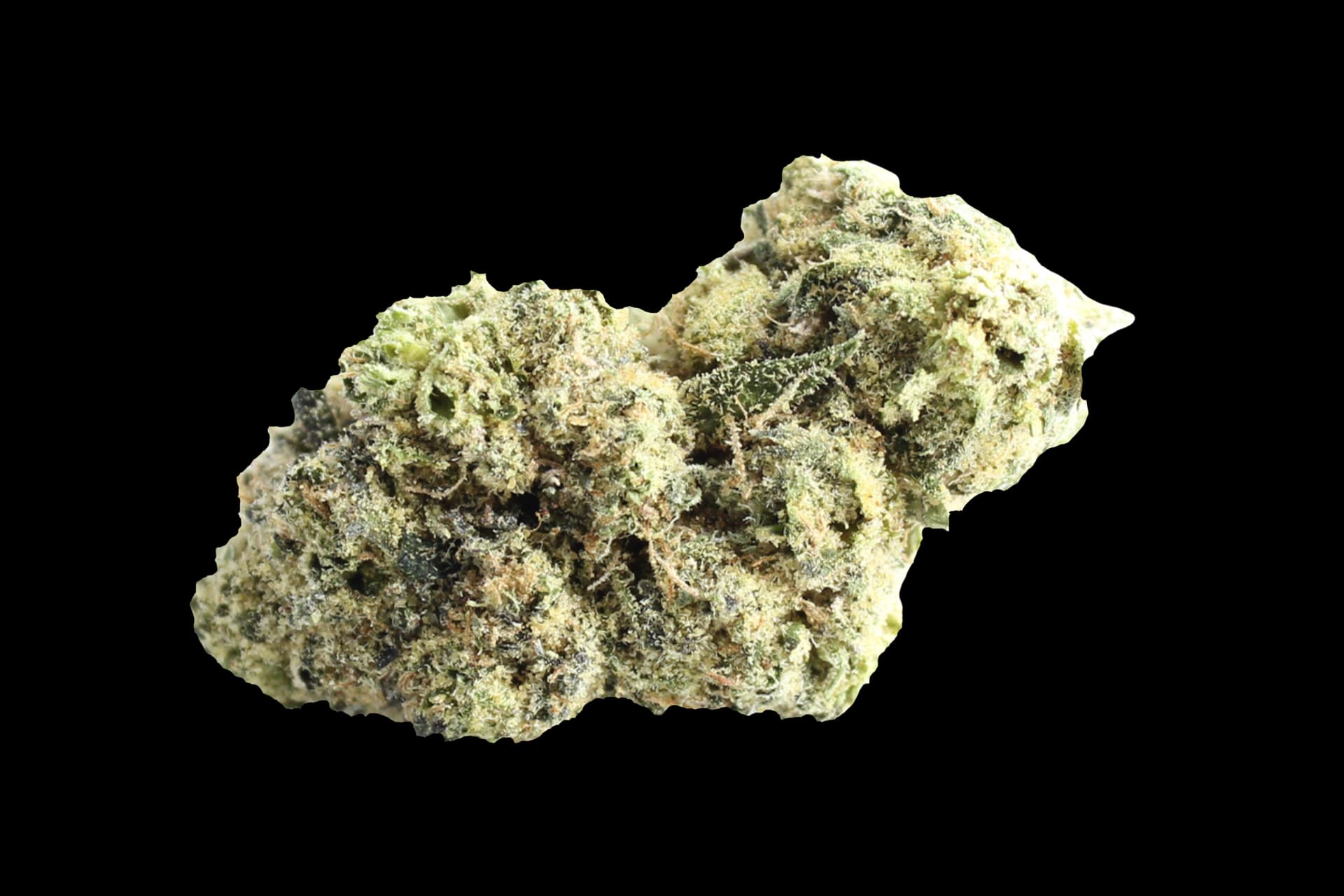 Craft Botanics 27/1 White Runtz