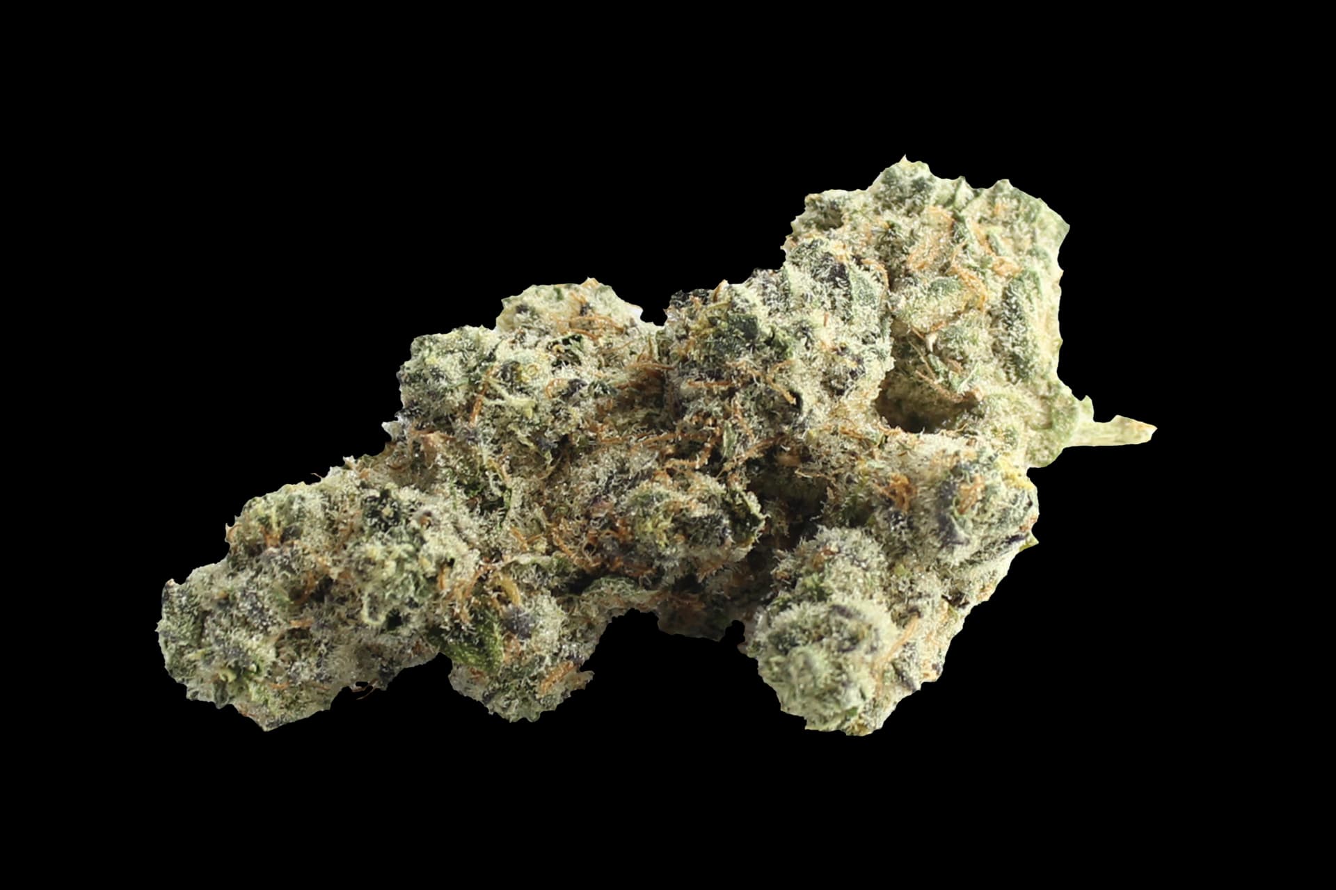 420 Evolution 30/1 CA WES: Wedding Singer